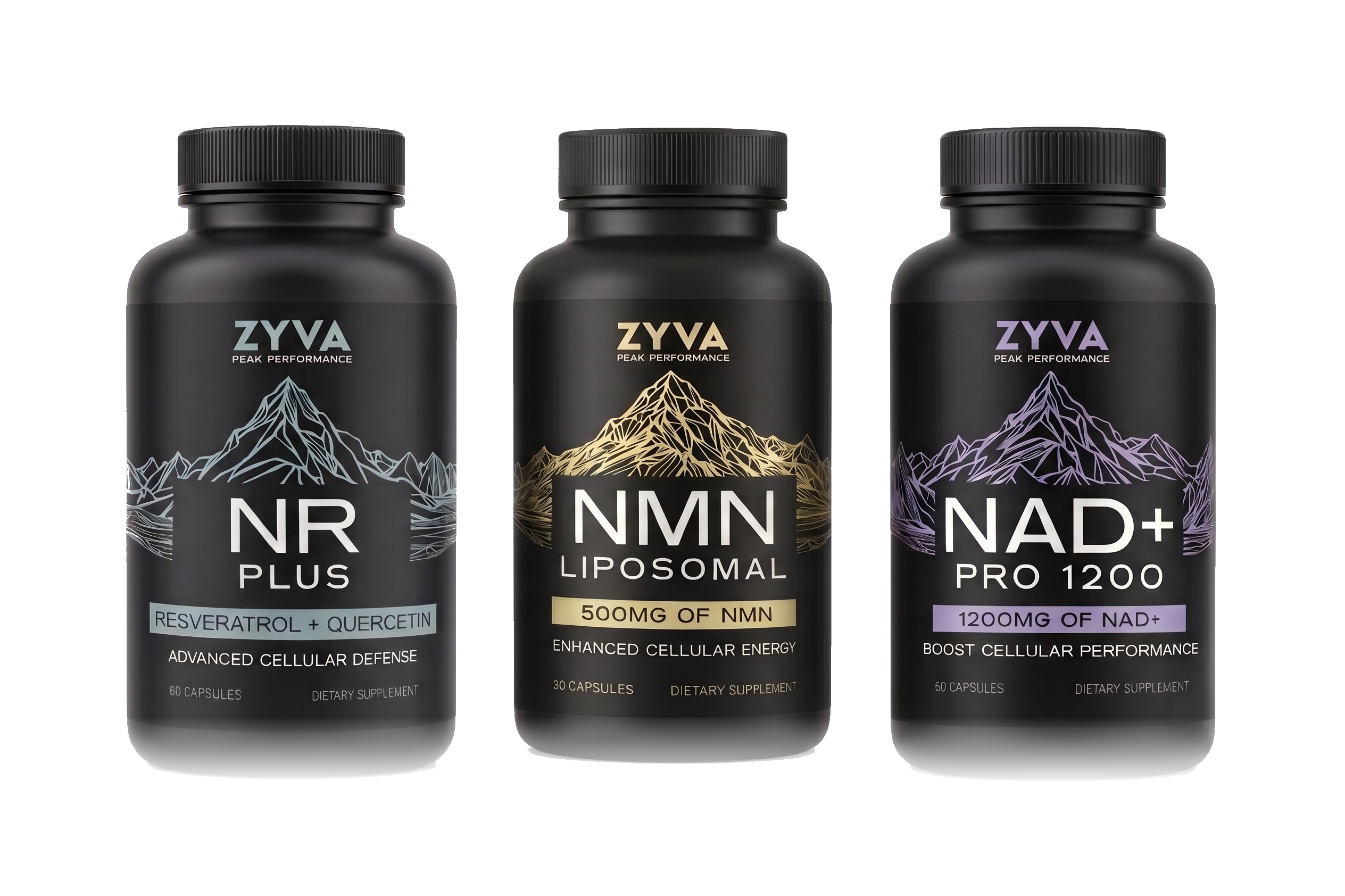 ZYVA product lineup